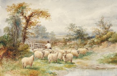 Landschap en schapen door M.C. Parsons